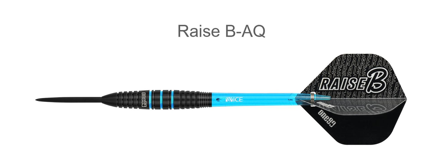 One80 Raise B - BAQ Steeldart