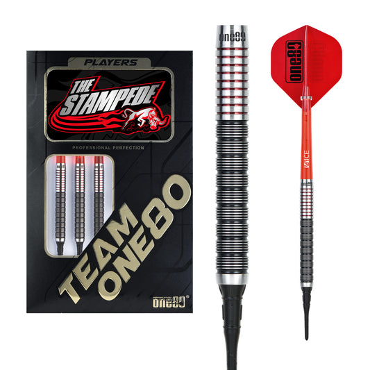 One80 Akshay Mehta Signature Dart II Softip 20g