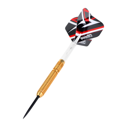 ADTS (advanced dart training solution)  BRASS Steeltip