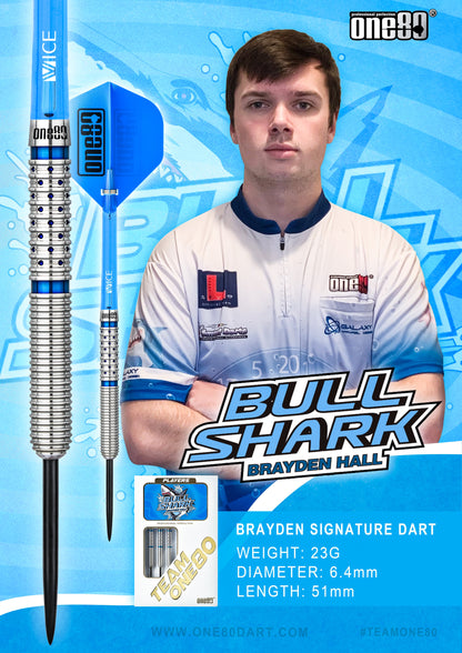 ONE80 Brayden Hall Steeltip 23g